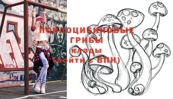 дурь Абдулино