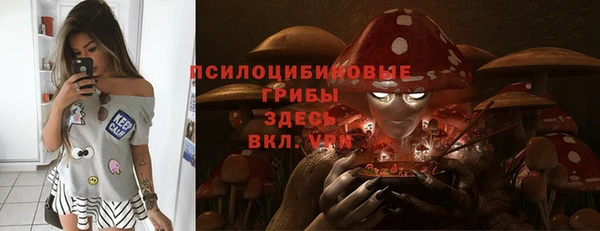 дурь Абдулино