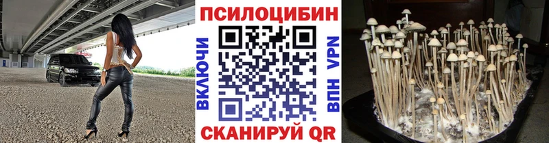 Псилоцибиновые грибы мухоморы  блэк спрут рабочий сайт  Смоленск 